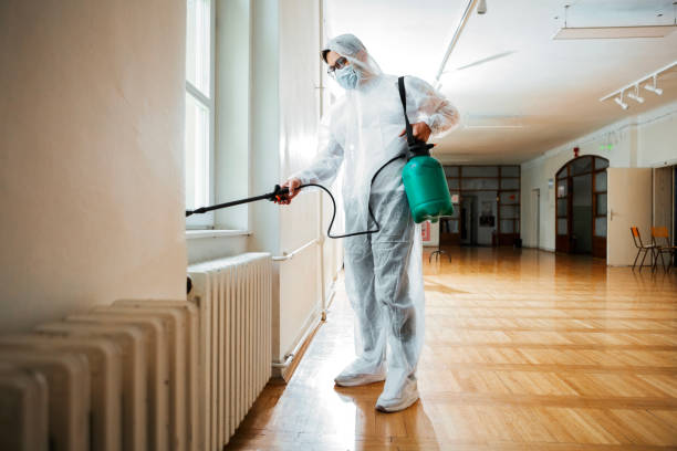 Emergency Pest Control in Idalou, TX